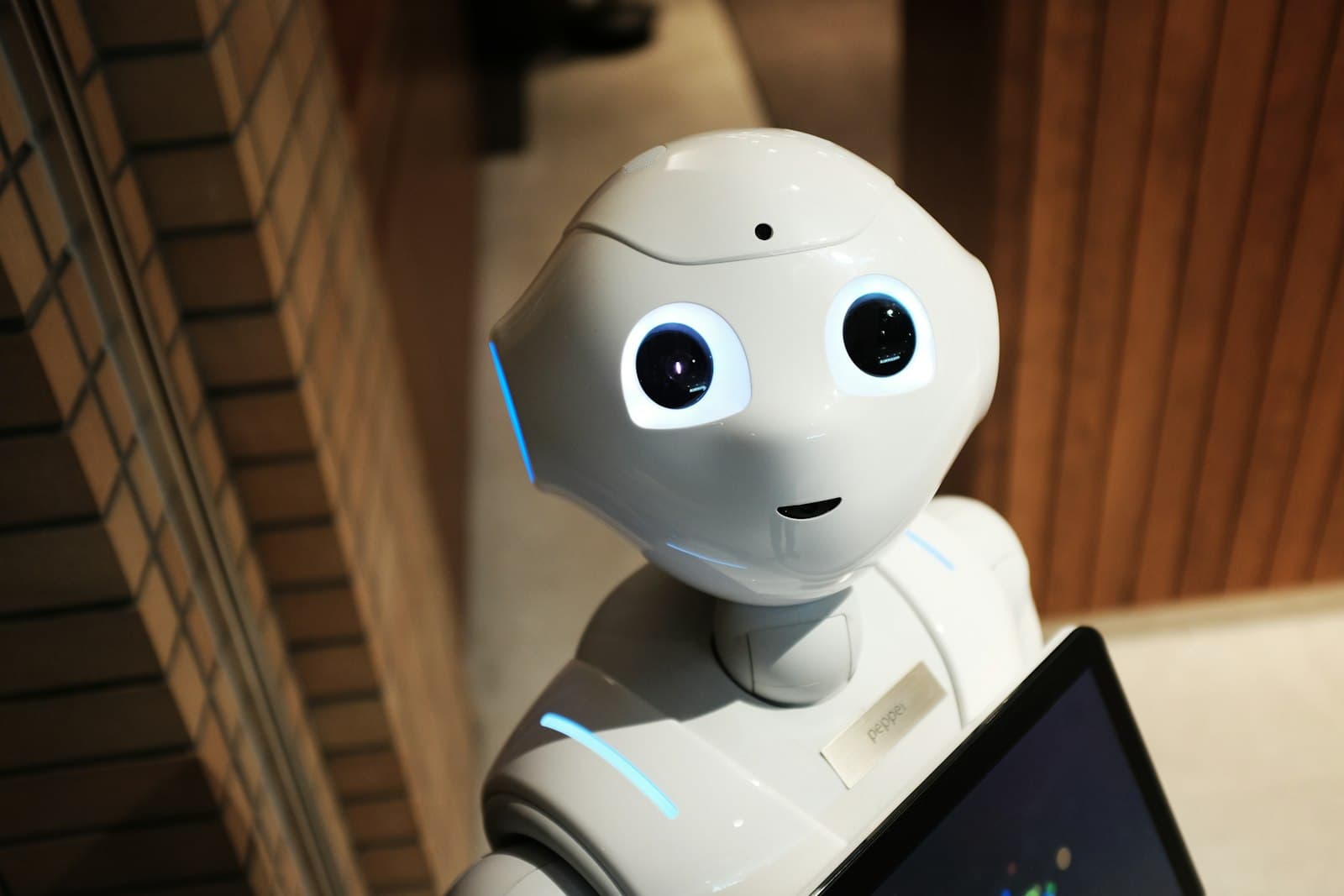 🤖 Building Your First AI Agent